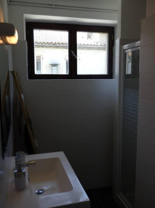 Spacieux Appartement Au Pied De La Cite Medievale Carcassonne Exterior foto